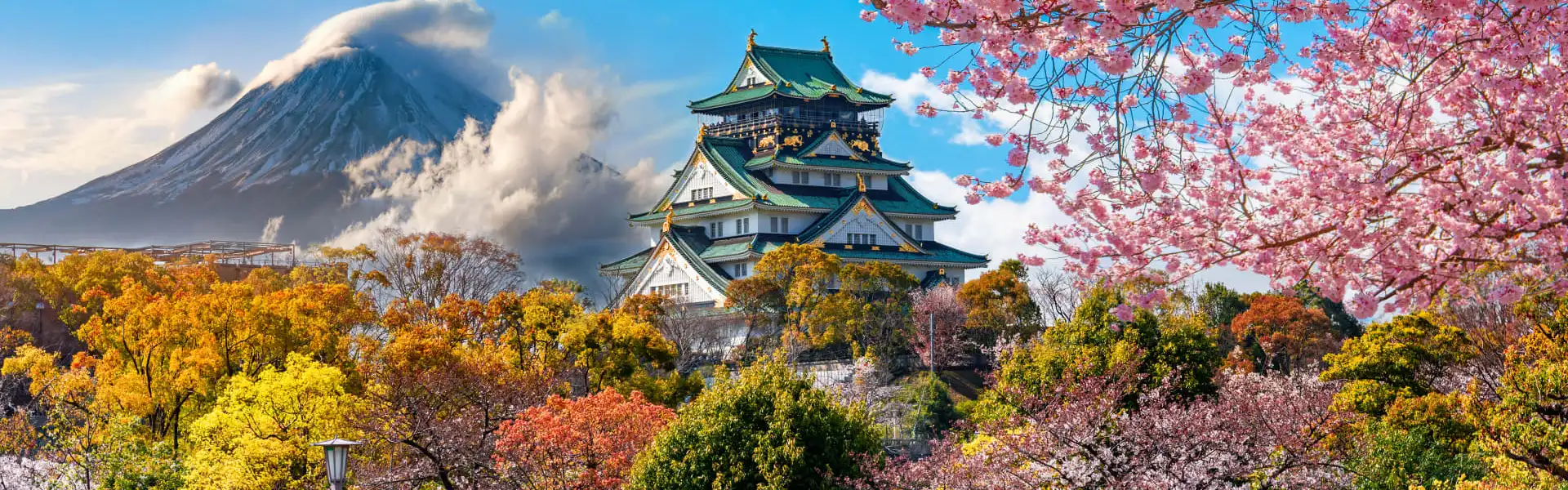 与精钻邮轮一起开启日本邮轮旅行