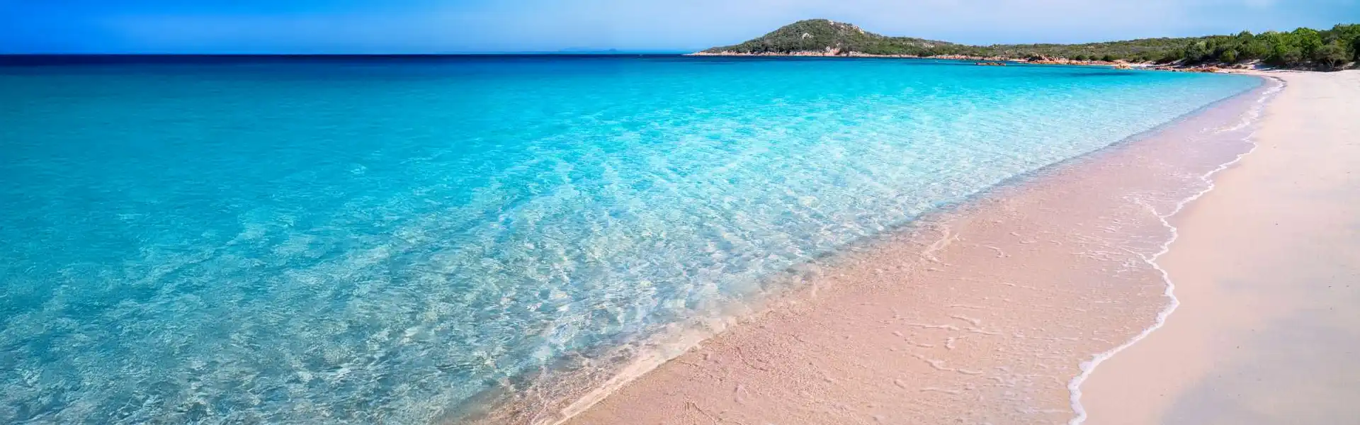 立即找到最优惠的价格