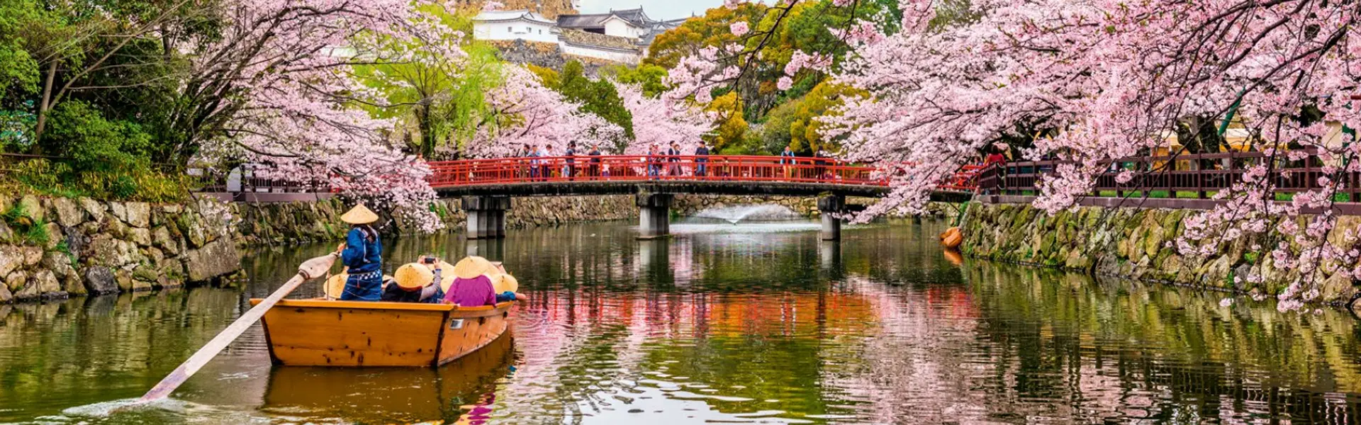 日本、韩国、中国优惠