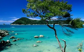 达尼丁