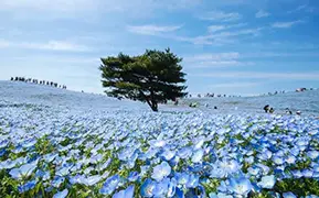 福冈