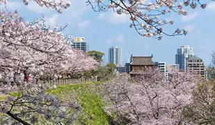 福冈