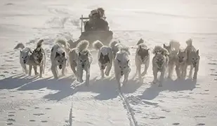 康克鲁斯瓦格