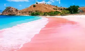 拉布汉巴焦