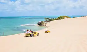 纳塔尔