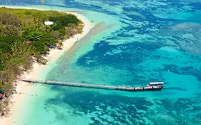 邮轮船只图片 努美阿