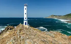 维戈