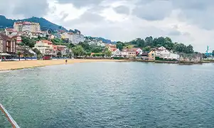 维戈