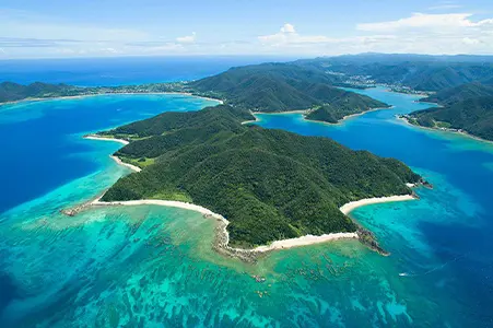 奄美大岛