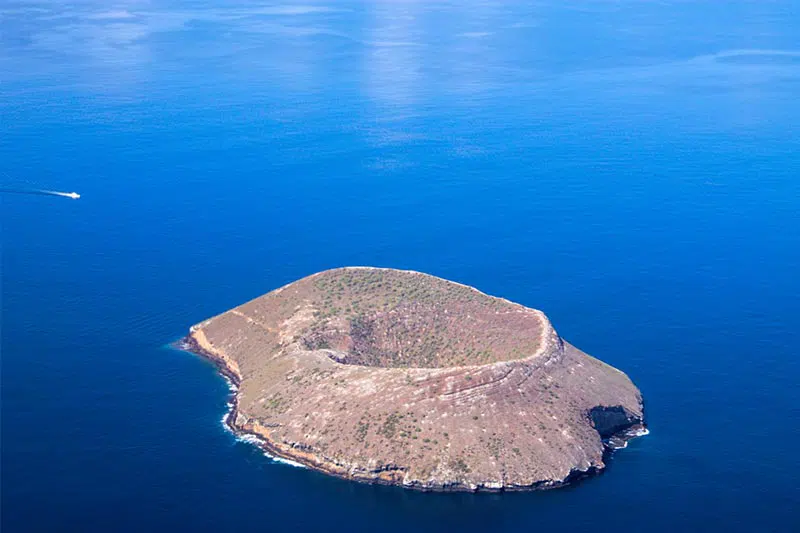 达夫尼岛
