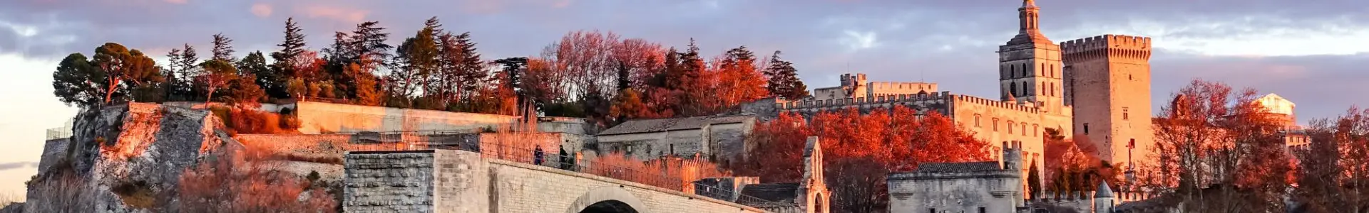 阿维尼翁