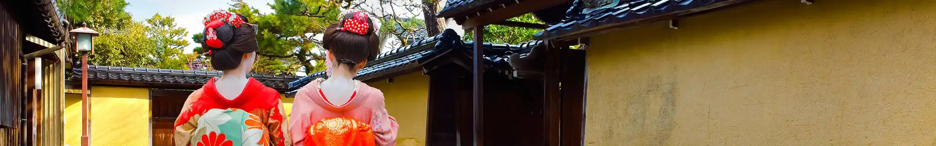 金泽