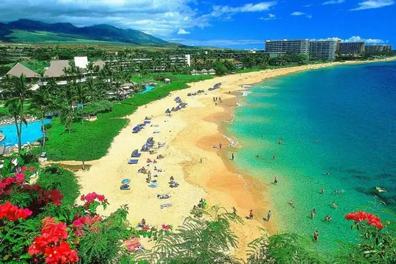 毛伊岛