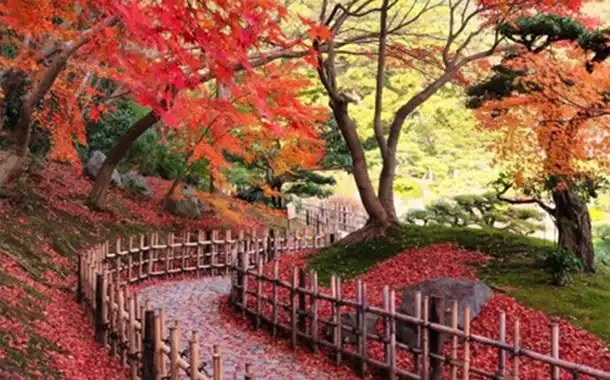 高松