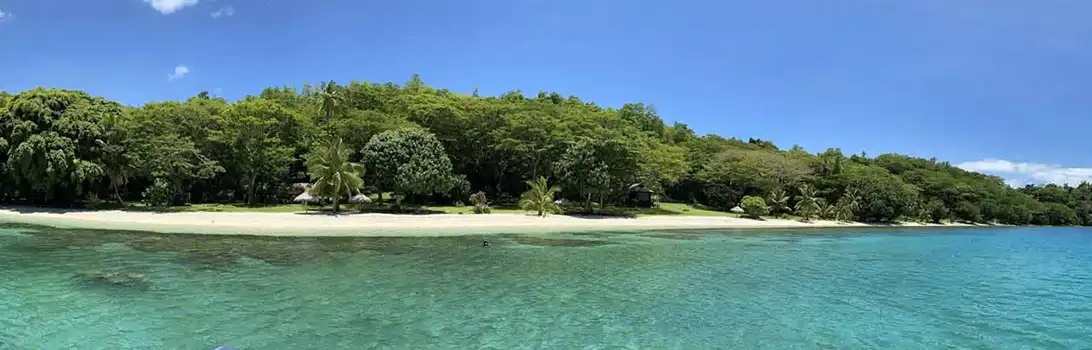塔韦乌尼岛