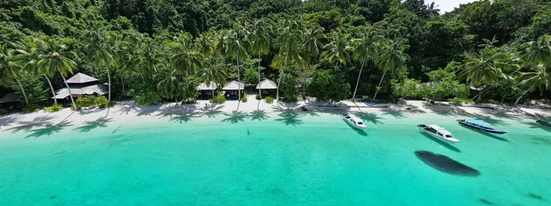 特里顿湾