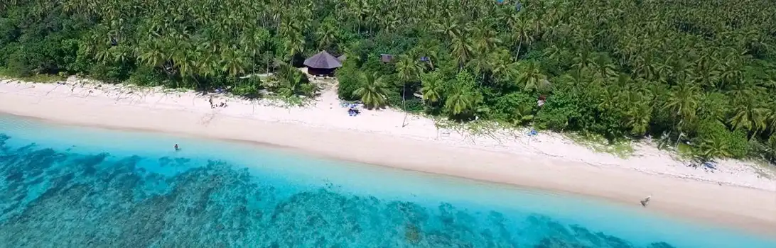沃莱瓦