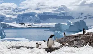 邮轮船只图片 南极洲