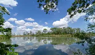 波河
