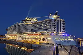 地中海邮轮海平线号（MSC Seaview）
