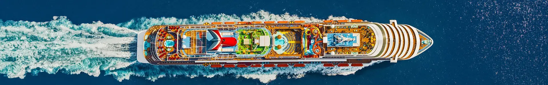 嘉年华展望号 (Carnival Vista ™)