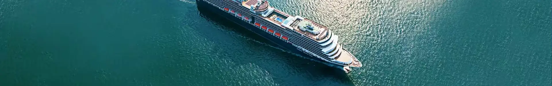 新阿姆斯特丹号 (Nieuw Amsterdam)