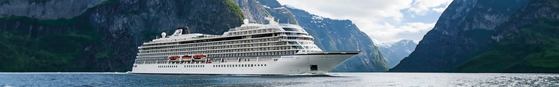 维京木星号 (Viking Jupiter)