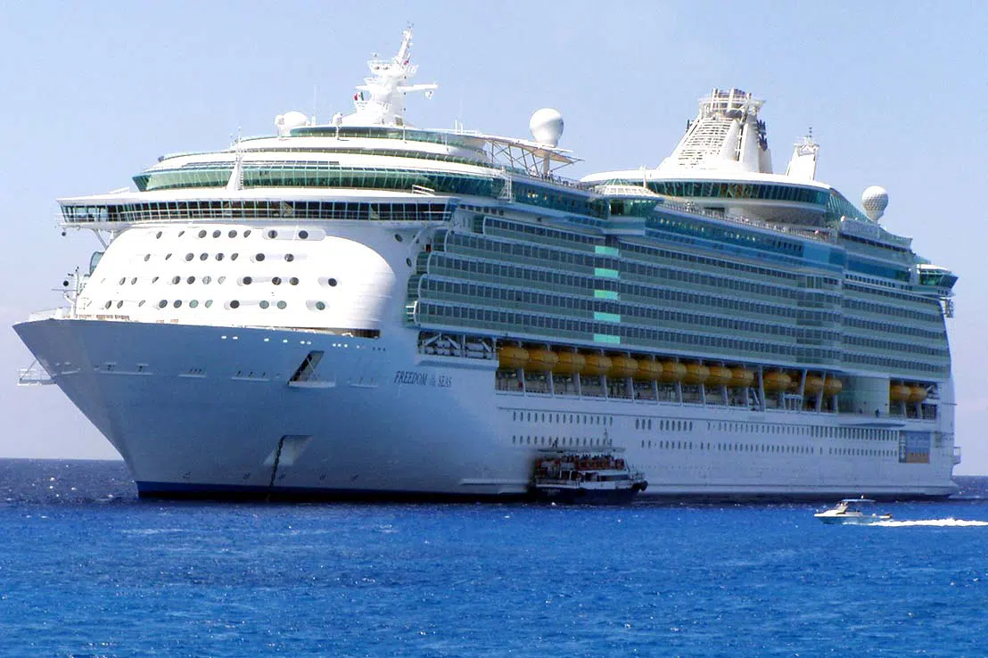 邮轮船只图片 海洋自由号（Freedom of the Seas）