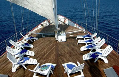 邮轮图片 {notti} 全景号 (M/S Panorama)
