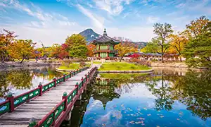 邮轮船只图片 韩国