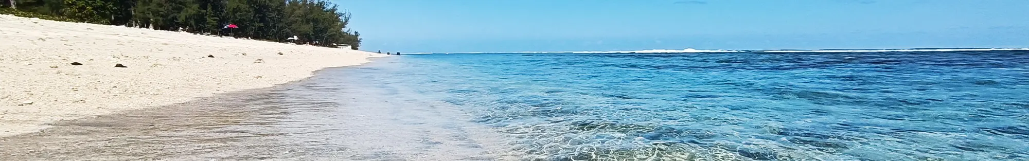 留尼汪