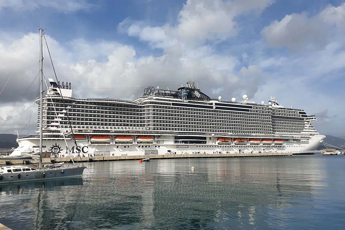 地中海邮轮海平线号(MSC Seaview)